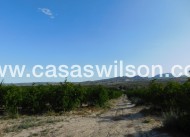 Sale - Plot of Land - Torremendo