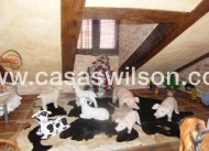 Sale - Townhouse - Daya Nueva