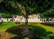 Sale - Townhouse - Torrevieja - Los Altos