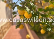 Sale - Villa - Algorfa - Lomas de Juliana