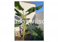 Sale - Villa - Ciudad Quesada - Quesada Center