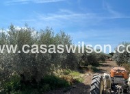 Sale - Villa - Crevillente - Inland