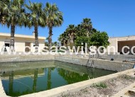 Sale - Villa - Crevillente - Inland