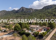 Sale - Villa - Detached - La Zarza
