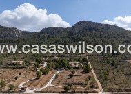 Sale - Villa - Detached - La Zarza