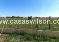 Sale - Villa - Dolores