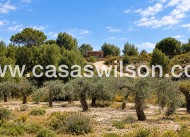 Sale - Villa - Murcia - Costa Blanca Sur