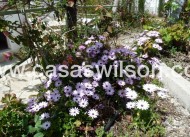 Sale - Villa - Murcia