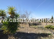 Sale - Villa - Salinas - Inland