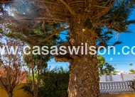 Sale - Villa - Torrevieja - Costa Blanca