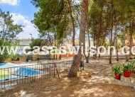 Sale - Villa - Torrevieja - Los Balcones - Los Altos del Edén