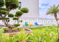 Venta - Apartamento - Mil Palmeras - Costa Blanca