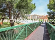 Venta - Apartamento - Orihuela Costa - Playa Flamenca