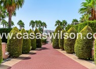 Venta - Apartamento - Orihuela Costa - Playa Flamenca