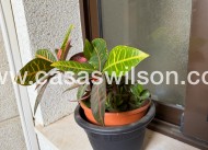 Venta - Apartamento - Orihuela Costa - Urbanización Las Ramblas