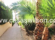 Venta - Apartamento - Torrevieja - Costa Blanca