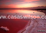 Venta - Apartamento - Torrevieja - La Siesta