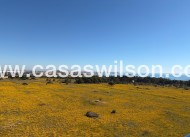 Venta - Apartamento - Torrevieja - Punta prima