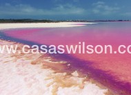 Venta - Apartamento - Villamartin - Costa Blanca