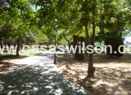 Venta - Apartamento - Villamartin - Costa Blanca