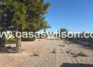 Venta - Chalet - Albatera