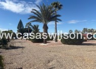 Venta - Chalet - Albatera