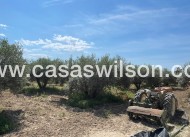 Venta - Chalet - Crevillente - Inland