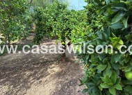 Venta - Chalet - Crevillente