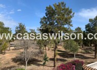 Venta - Chalet - Guardamar del Segura - Guardamar - El Raso