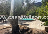 Venta - Chalet - Murcia - Costa Blanca Sur