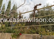 Venta - Chalet - Murcia