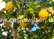 Venta - Chalet - Orihuela Costa - Villamartín