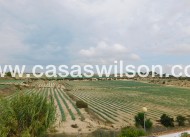 Venta - Chalet - San Miguel de Salinas - San Miguel Salinas