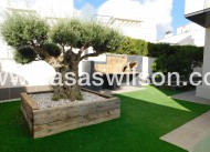 Venta - Chalet - San Miguel de Salinas