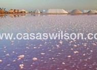 Venta - Chalet - Torre de Horadada - Costa Blanca