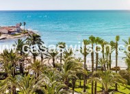 Venta - Chalet - Torrevieja - Calas blanca