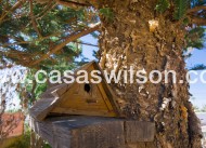 Venta - Chalet - Torrevieja - Costa Blanca