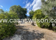 Venta - Finca - Albatera - Inland