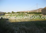 Venta - Finca - Benferri - Inland