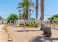 Venta - Finca - Catral