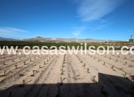 Venta - Finca / Country House - Murcia - Costa Blanca Sur