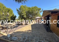 Venta - Finca / Country House - San Miguel de Salinas - Costa Blanca Sur
