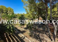 Venta - Finca / Country House - San Miguel de Salinas - Costa Blanca Sur