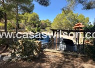 Venta - Finca / Country House - San Miguel de Salinas - Costa Blanca Sur