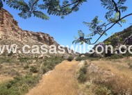 Venta - Finca - Crevillente - Inland
