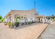 Venta - Finca - Elche - Elche/Elx