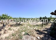 Venta - Finca - La Marina - Costa Blanca