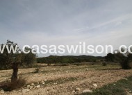 Venta - Finca - Monóvar/Monóver - Inland