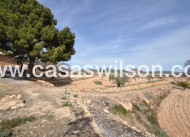 Venta - Finca - Monóvar/Monóver - Inland