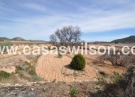 Venta - Finca - Monóvar/Monóver - Inland